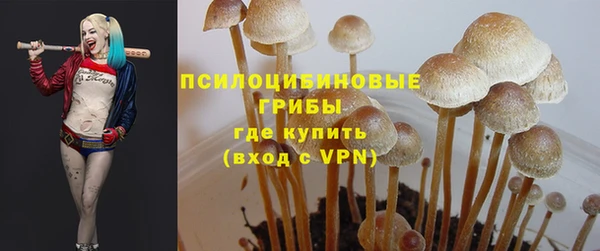 винт Кинешма
