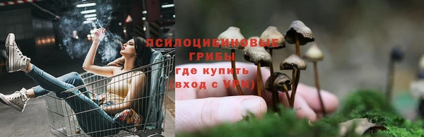 винт Кинешма