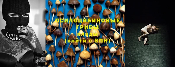 мдма Каменногорск