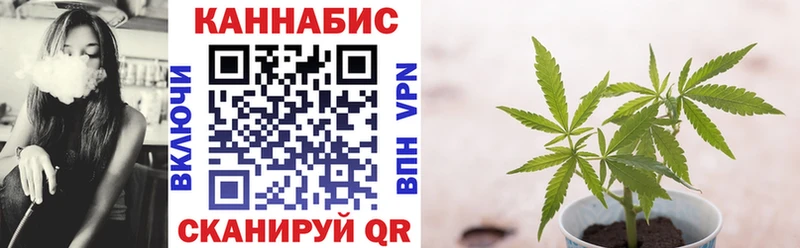 Каннабис конопля Комсомольск